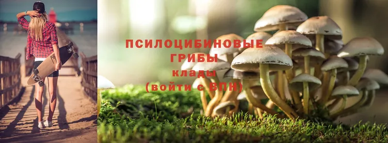 blacksprut как зайти  это наркотические препараты  Галлюциногенные грибы Cubensis  Майский 